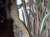 photos 2000-200902587